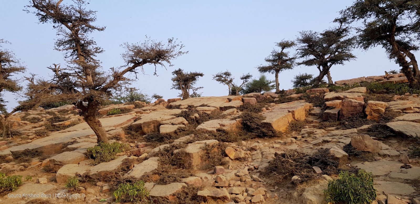  Govardhan hill. 2018.03.14